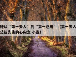 她从“第一夫人”到“第一总统”（第一夫人总统先生的心尖宠 小说）