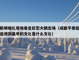 新娘婚礼现场乘坐巨型大鹅出场（成都平原能追溯到最早的文化是什么文化）