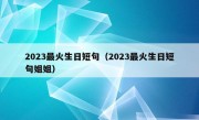 2023最火生日短句（2023最火生日短句姐姐）