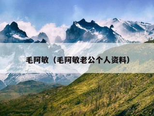 毛阿敏（毛阿敏老公个人资料）