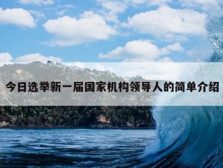 今日选举新一届国家机构领导人的简单介绍