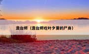 澹台烬（澹台烬吃叶夕雾的尸身）