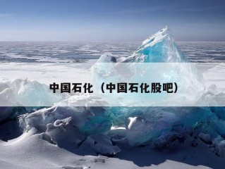 中国石化（中国石化股吧）