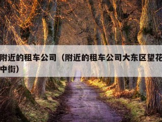 附近的租车公司（附近的租车公司大东区望花中街）