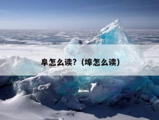 阜怎么读?（埠怎么读）