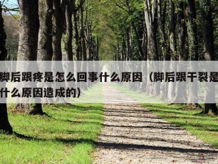 脚后跟疼是怎么回事什么原因（脚后跟干裂是什么原因造成的）