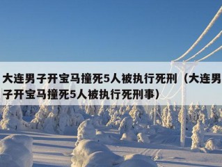 大连男子开宝马撞死5人被执行死刑（大连男子开宝马撞死5人被执行死刑事）