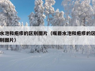 水泡和疱疹的区别图片（嘴唇水泡和疱疹的区别图片）