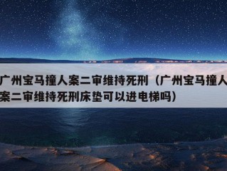 广州宝马撞人案二审维持死刑（广州宝马撞人案二审维持死刑床垫可以进电梯吗）