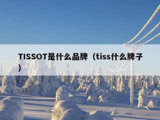 TISSOT是什么品牌（tiss什么牌子）