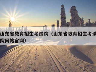 山东省教育招生考试院（山东省教育招生考试院网站官网）