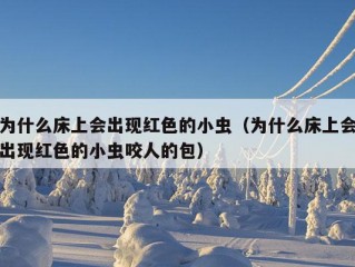 为什么床上会出现红色的小虫（为什么床上会出现红色的小虫咬人的包）