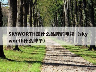 SKYWORTH是什么品牌的电视（skyworth什么牌子）