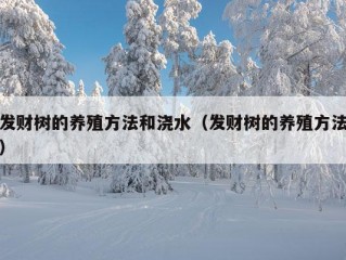 发财树的养殖方法和浇水（发财树的养殖方法）