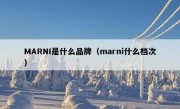 MARNI是什么品牌（marni什么档次）