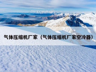 气体压缩机厂家（气体压缩机厂家空冷器）