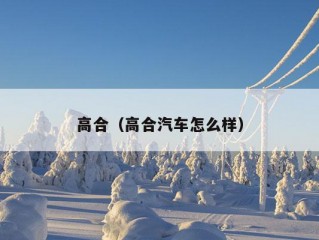 高合（高合汽车怎么样）