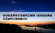 农妇掐走两枝兰花被判三缓四（农妇掐走两枝兰花被判三缓四赔8万）