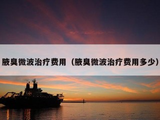 腋臭微波治疗费用（腋臭微波治疗费用多少）