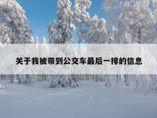 关于我被带到公交车最后一排的信息