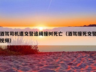 酒驾司机遭交警追缉撞树死亡（酒驾撞死交警视频）