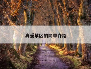 真爱禁区的简单介绍