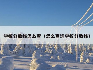 学校分数线怎么查（怎么查询学校分数线）