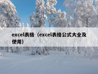 excel表格（excel表格公式大全及使用）