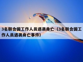 3名联合国工作人员遇袭身亡（3名联合国工作人员遇袭身亡事件）