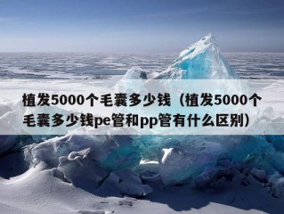 植发5000个毛囊多少钱（植发5000个毛囊多少钱pe管和pp管有什么区别）