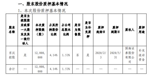 代码000615最新消息详解