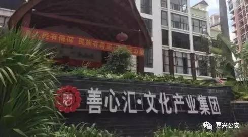 善心汇持续性的最新观察与深度解析