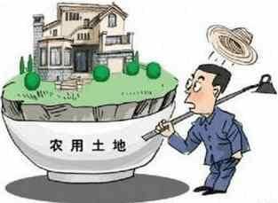 解析最新土地政策，重塑土地资源利用与价值