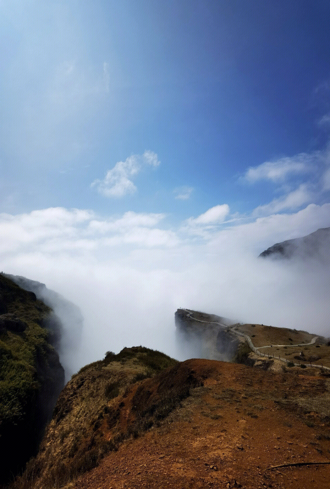 大山包最新旅游指南全解析