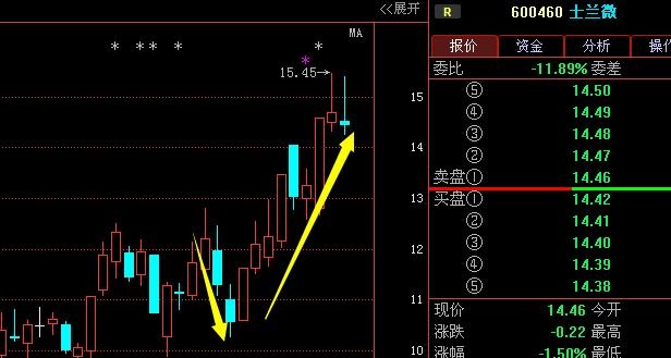 2024年11月20日 第9页